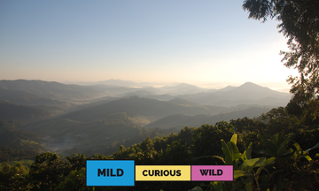 Colombia | Tablón de Gómez | Caturra & Castillo | Washed | Espresso | 250g