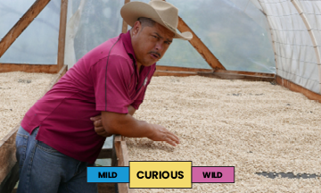 Honduras | Ovidio Gomez | Catuai | Honey | Espresso | 250g