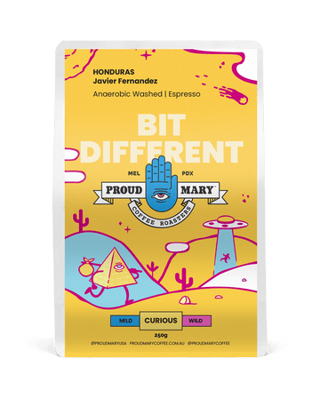 Honduras | Javier Fernandez | Bourbon | Anaerobic Washed | Espresso | 250g