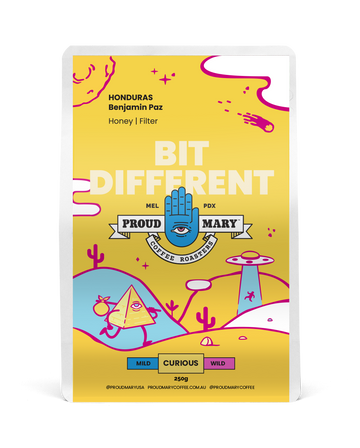 Honduras | Benjamin Paz | Pacas | Honey | Filter | 250g