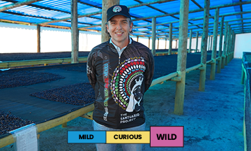 Colombia | Finca Santuario | Red Bourbon | Natural | Filter | 250g