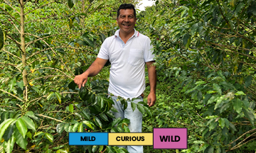 Colombia | La Miel | Pink Bourbon | Anaerobic Natural | Filter | 200g