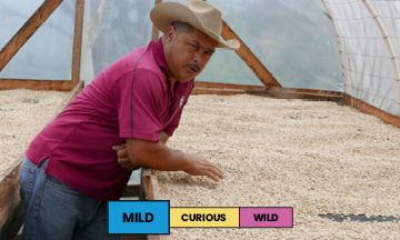 Honduras | Ovidio Gomez | Catuai | Washed | Filter | 250g
