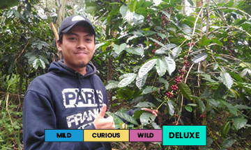 Indonesia | Ijen Lestari COE #4 | USDA | Natural | Filter | 100g