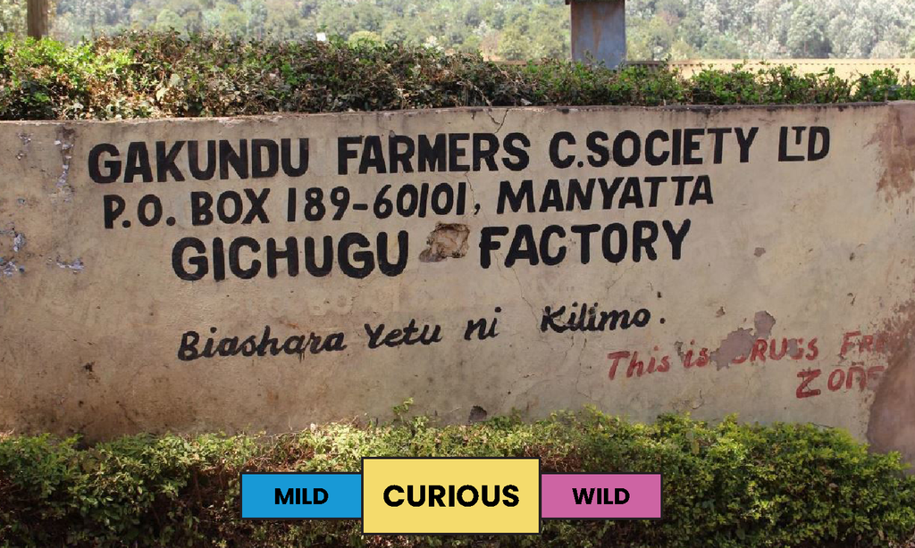Kenya | Gichugu | Mixed | Washed | Filter | 250g
