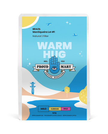 Brazil | Mantiqueira Lot #1 | Yellow Bourbon & Yellow Catuai | Natural | Filter | 250g