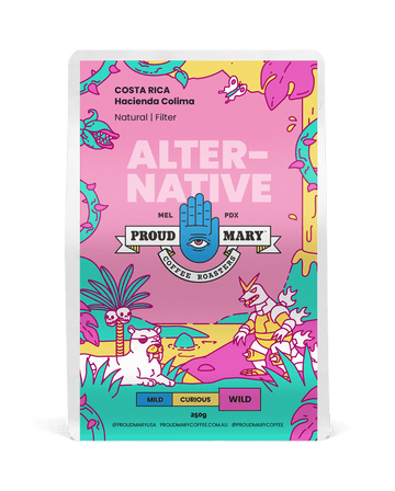 Costa Rica | Hacienda Colima | Caturra | Natural | Filter | 250g