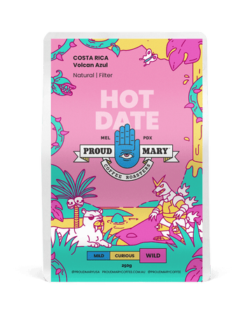 Costa Rica | Volcan Azul | H17 | Natural | Filter | 250g