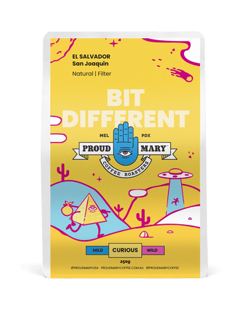 El Salvador | San Joaquin | Red Bourbon | Natural | Filter | 250g