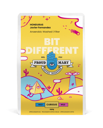 Honduras | Javier Fernandez | Bourbon | Anaerobic Washed | Filter | 250g