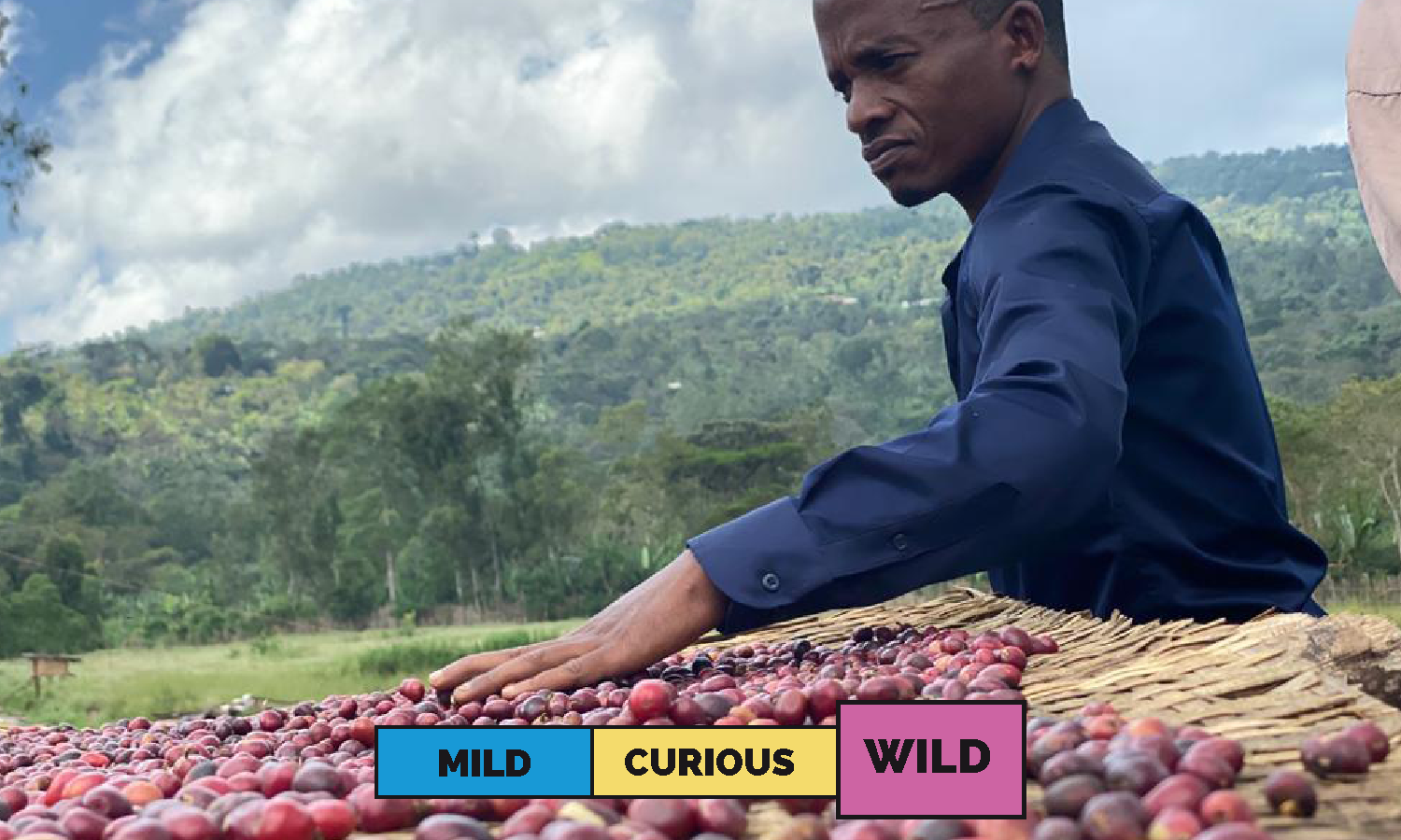Photo of Ethiopia Girma Bekele Heirloom Natural Espresso 250G