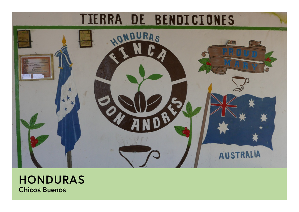 Honduras | Chicos Buenos | Pacas & Catuai | Washed | Espresso | 250g