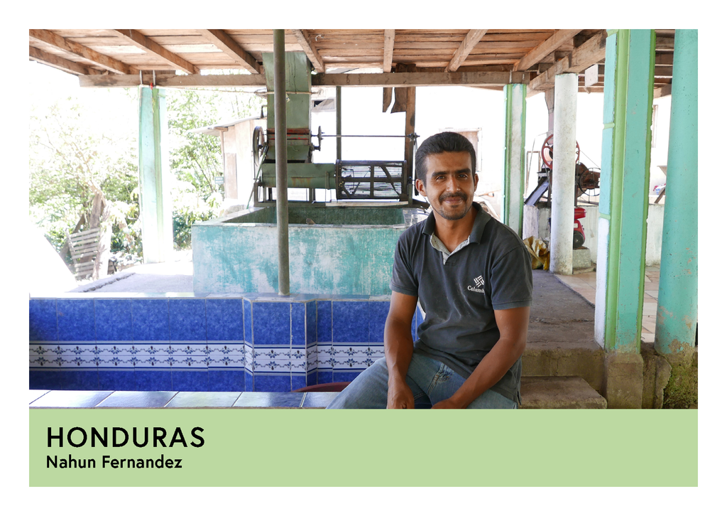 Honduras | Nahun Fernandez | Pacas | Anaerobic Washed 48/72hr | Filter | 250g