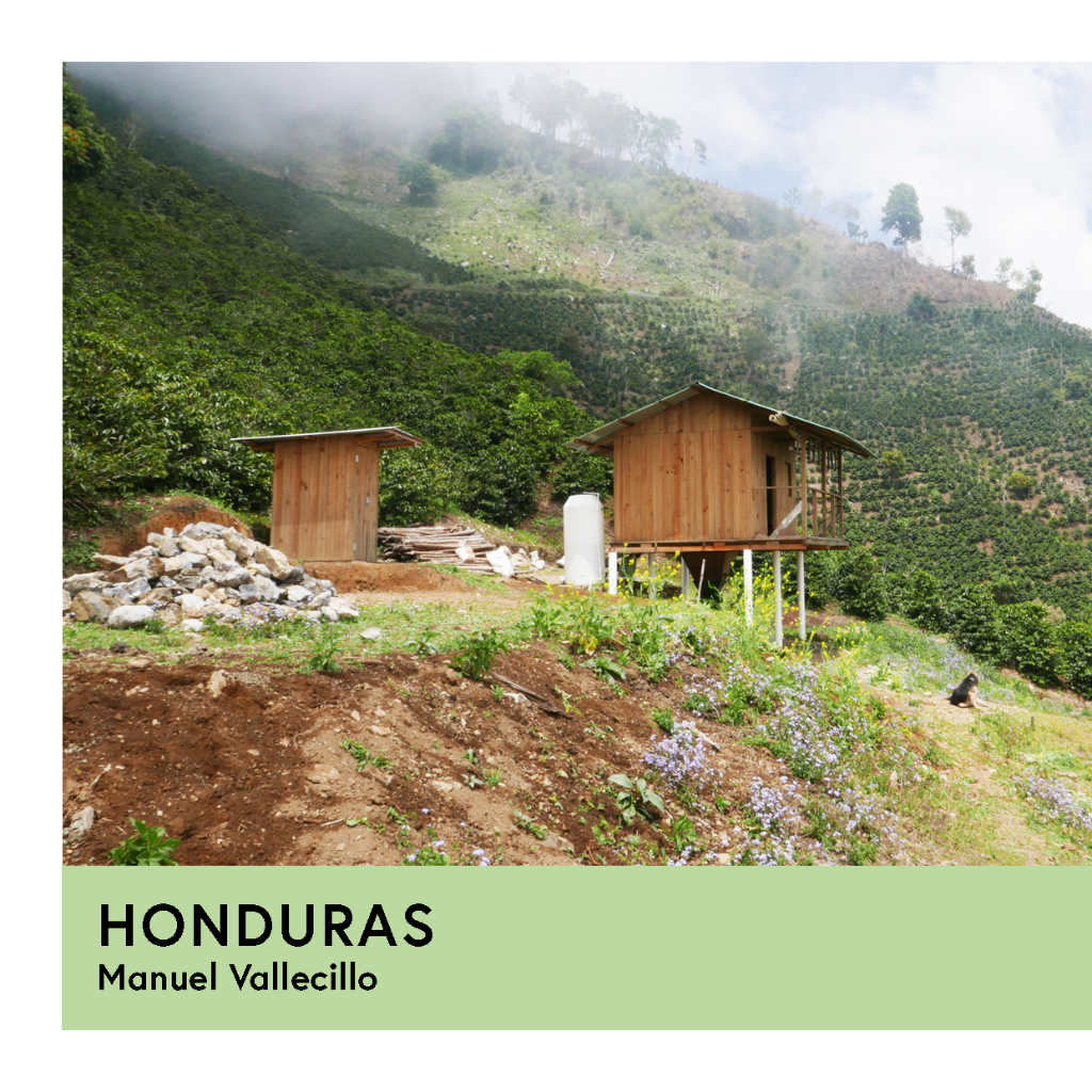 Photo of Honduras | Manuel Vallecillo | Pacas | Anaerobic Honey 72hr. | Filter | 250g