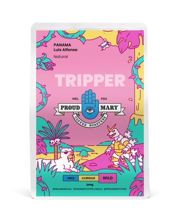 Colombia | Luis Alfonso | Yellow Caturra | Natural | Filter | 200g