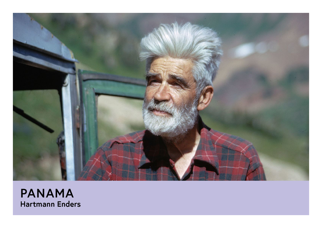 Panama | Hartmann Enders | Geisha | Anaerobic Washed | Filter | 100g