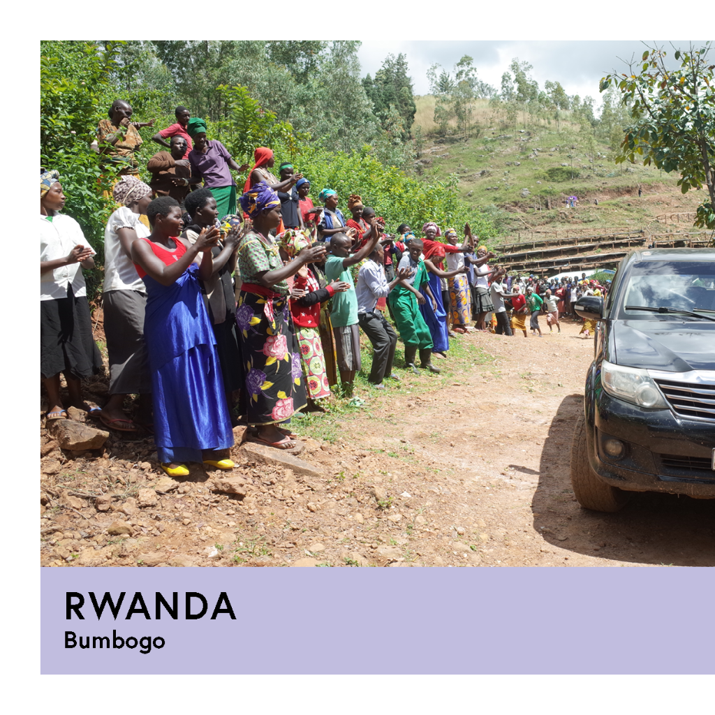 Rwanda | Bumbogo | Red Bourbon | Honey | Filter | 250g - Proud Mary Coffee Melbourne
