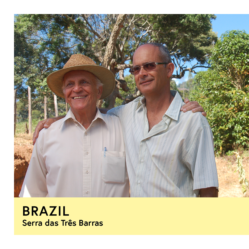 Brazil | Serra das Três Barras  | Yellow Catuai | Natural | Filter | 250g - Proud Mary Coffee Melbourne