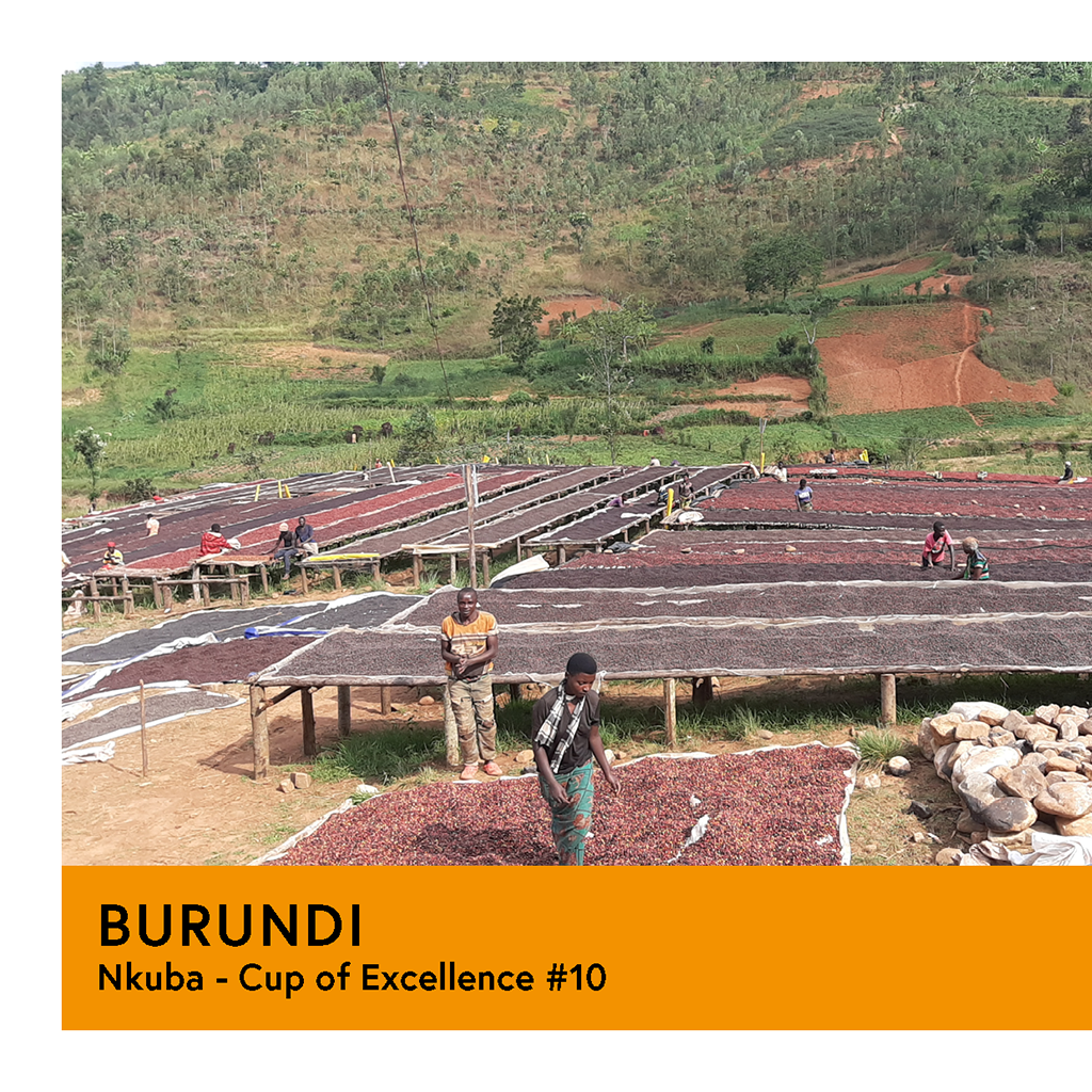 Burundi | Nkuba COE #10  | Red Bourbon | Natural | Filter | 200g - Proud Mary Coffee Melbourne