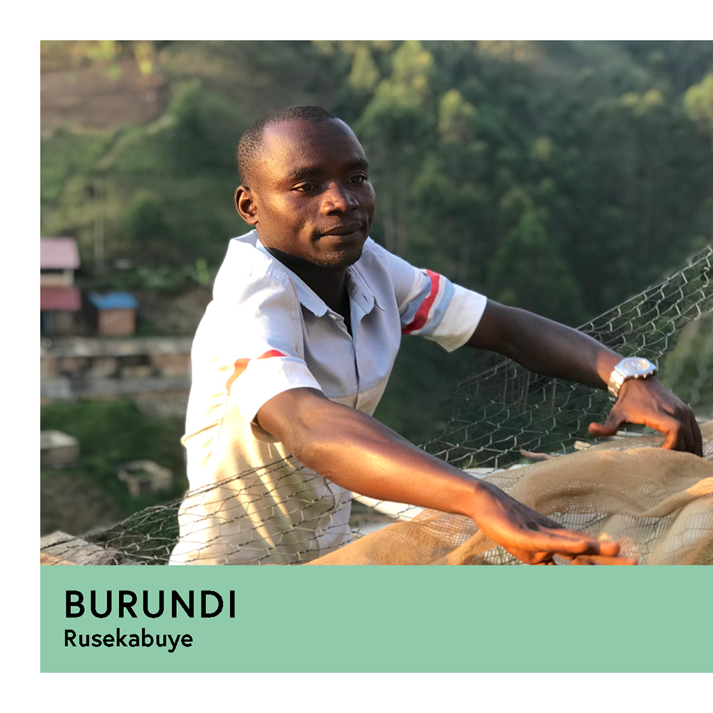 Photo of Burundi | Rusekabuye | Red Bourbon | Washed | Espresso | 250g