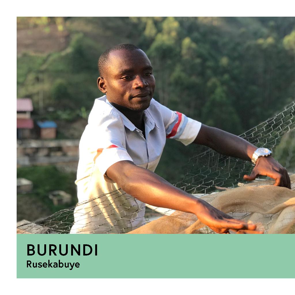 Burundi | Rusekabuye | Red Bourbon | Washed | Espresso | 250g - Proud Mary Coffee Melbourne