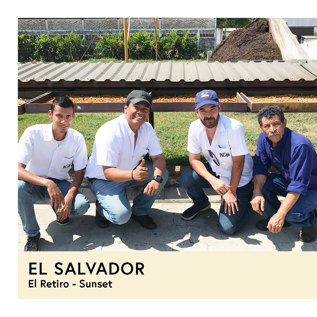 El Salvador | El Retiro | Bernardina | Anaerobic Honey Sunset | Filter | 100g - Proud Mary Coffee Melbourne