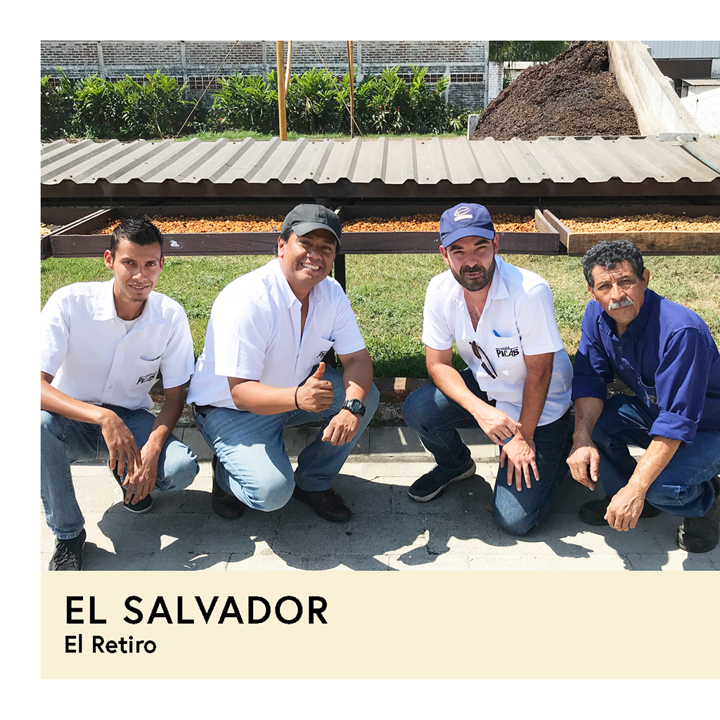 El Salvador | El Retiro | Bernardina | Natural | Filter | 100g - Proud Mary Coffee Melbourne
