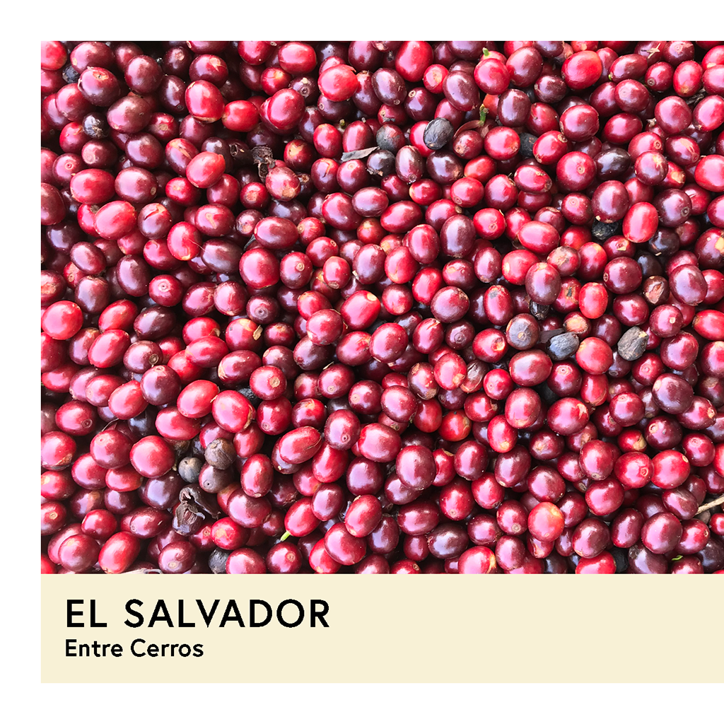 Photo of El Salvador | Entre Cerros | Bourbon | Natural | Espresso | 250g