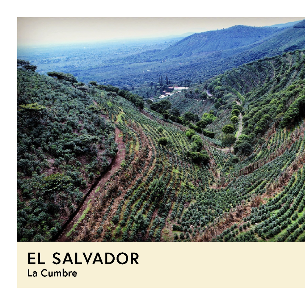 El Salvador | La Cumbre | Orange Bourbon | Natural | Filter | 100g - Proud Mary Coffee Melbourne