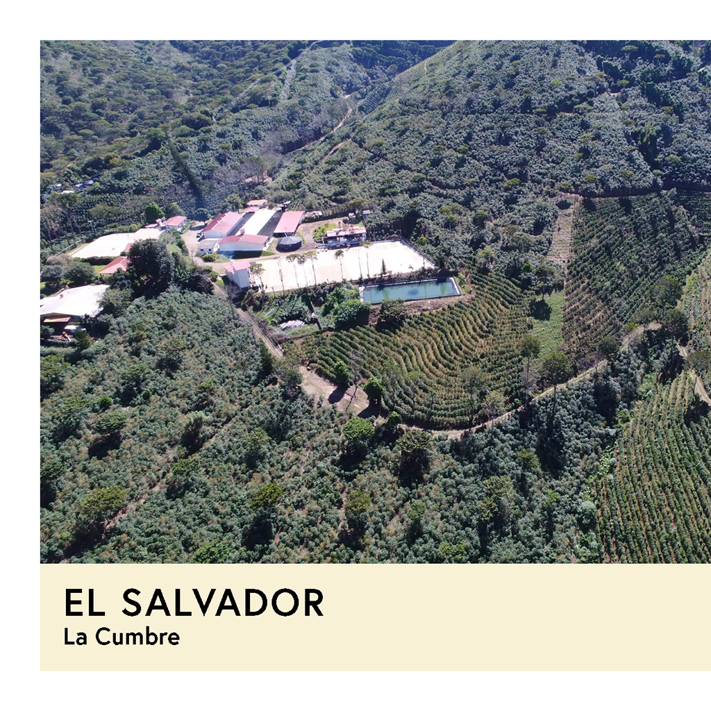 Photo of El Salvador | La Cumbre | SL34 | Honey | Filter | 200g