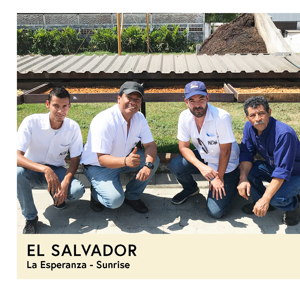 Photo of El Salvador | La Esperanza | Bernardina | Dbl. Anaerobic Washed Sunrise | Filter | 100g