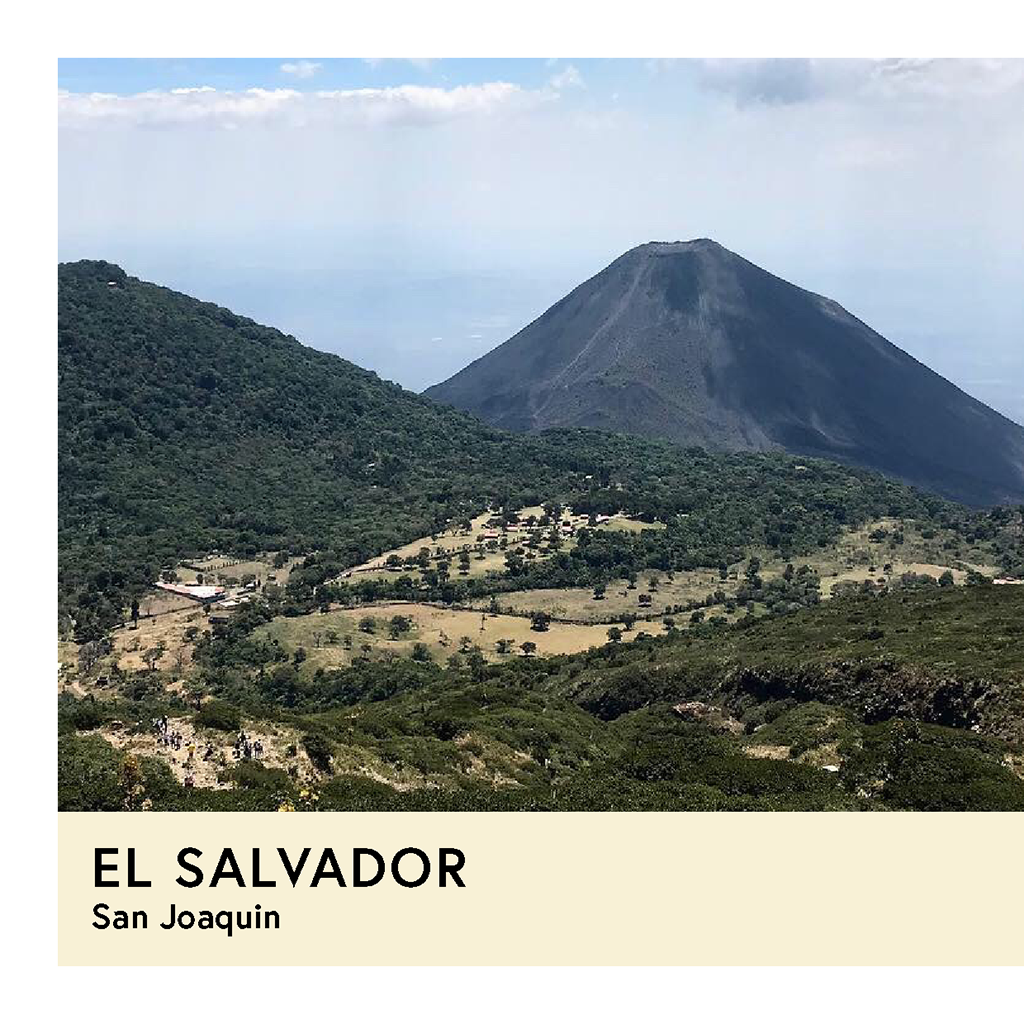 Photo of El Salvador San Joaquin Red Bourbon Natural Espresso 250G
