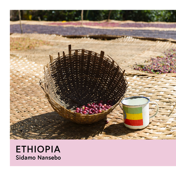 Ethiopia | Sidamo Nansebo Ato Girma | Heirloom | Natural | Espresso | 250g - Proud Mary Coffee Melbourne