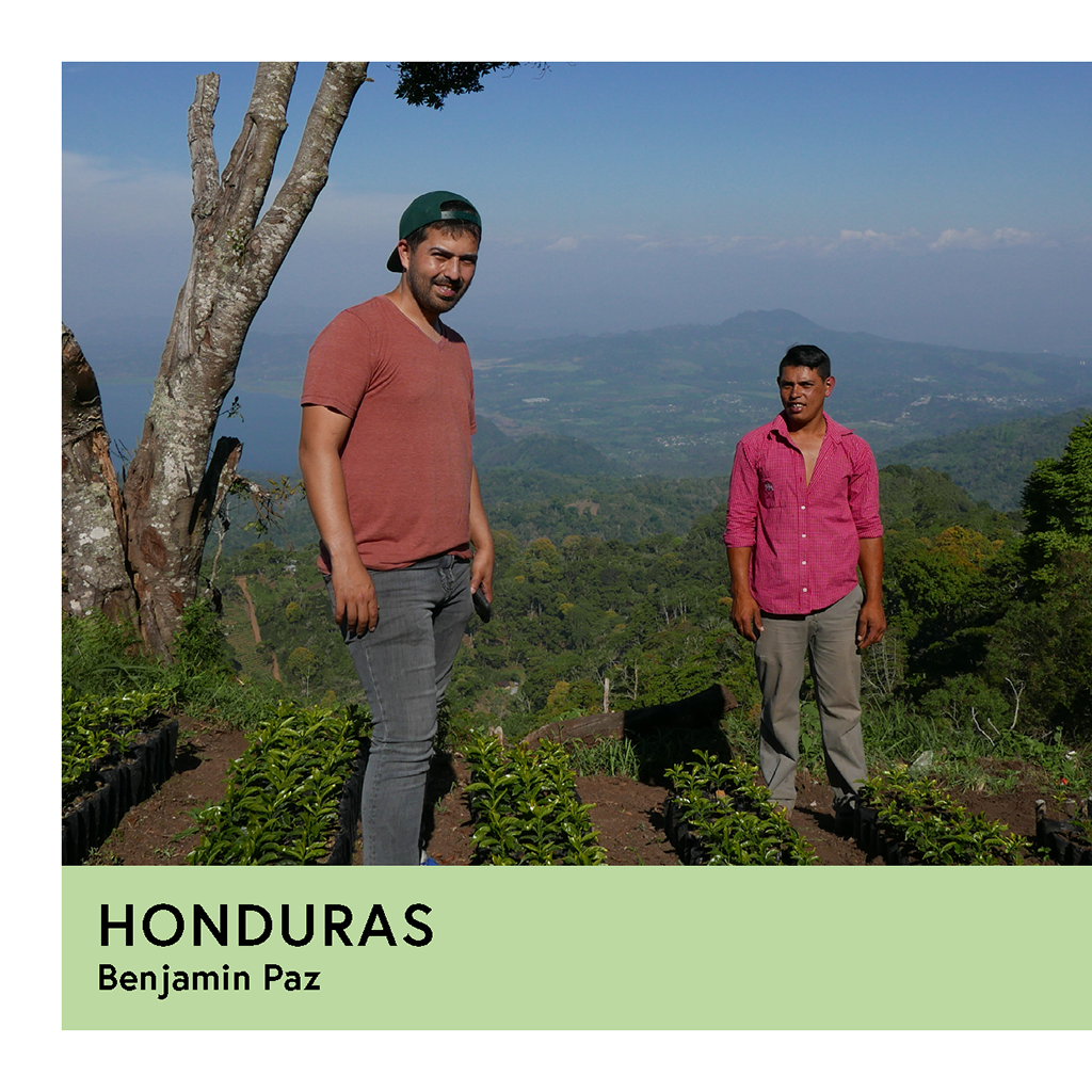 Photo of Honduras | Benjamin Paz | Catuai | Natural | Filter | 250g