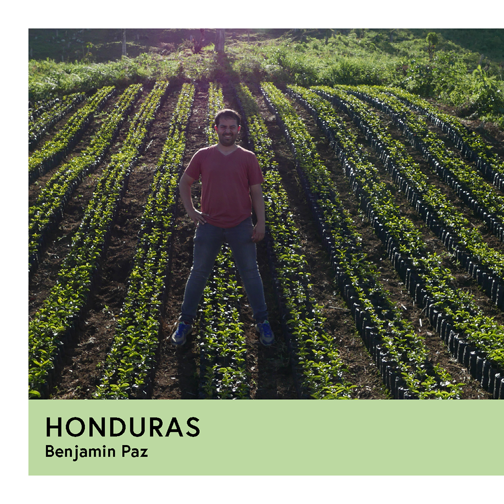 Photo of Honduras | Benjamin Paz | Pacas | Natural | Espresso | 250g