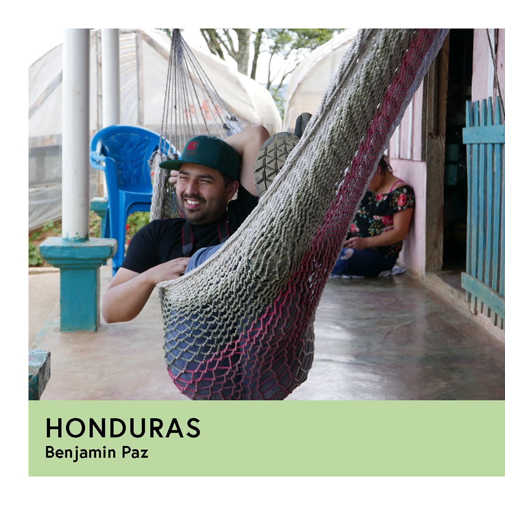 Honduras | Benjamin Paz | Red Catuai | Anaerobic Honey 72hr | Filter | 250g - Proud Mary Coffee Melbourne