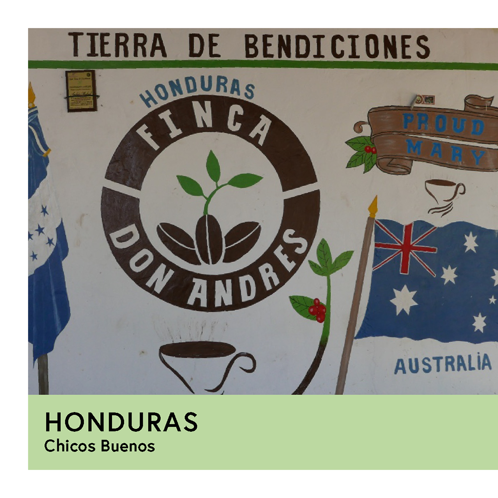 Honduras | Chicos Buenos | Pacas & Catuai | Washed | Espresso | 250g - Proud Mary Coffee Melbourne
