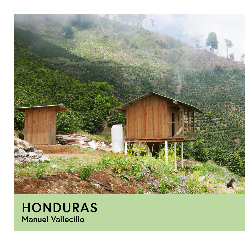 Photo of Honduras | Manuel Vallecillo | Pacas | Natural | Espresso | 250g