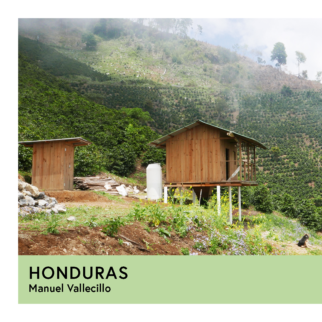 Honduras | Manuel Vallecillo | Pacas | Natural | Espresso | 250g - Proud Mary Coffee Melbourne