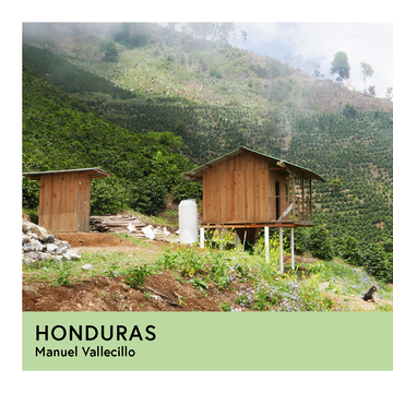 Honduras | Manuel Vallecillo | Pacas | Natural | Espresso | 250g - Proud Mary Coffee Melbourne