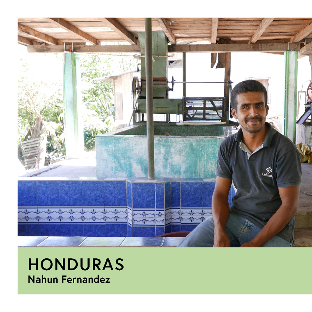 Photo of Honduras | Nahun Fernandez | Parainema | Washed | Espresso | 250g