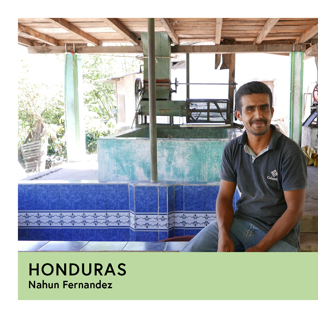 Honduras | Nahun Fernandez | Parainema | Washed | Espresso | 250g - Proud Mary Coffee Melbourne