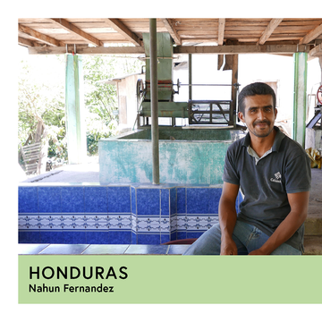 Honduras | Nahun Fernandez | Parainema | Washed | Filter | 250g - Proud Mary Coffee Melbourne