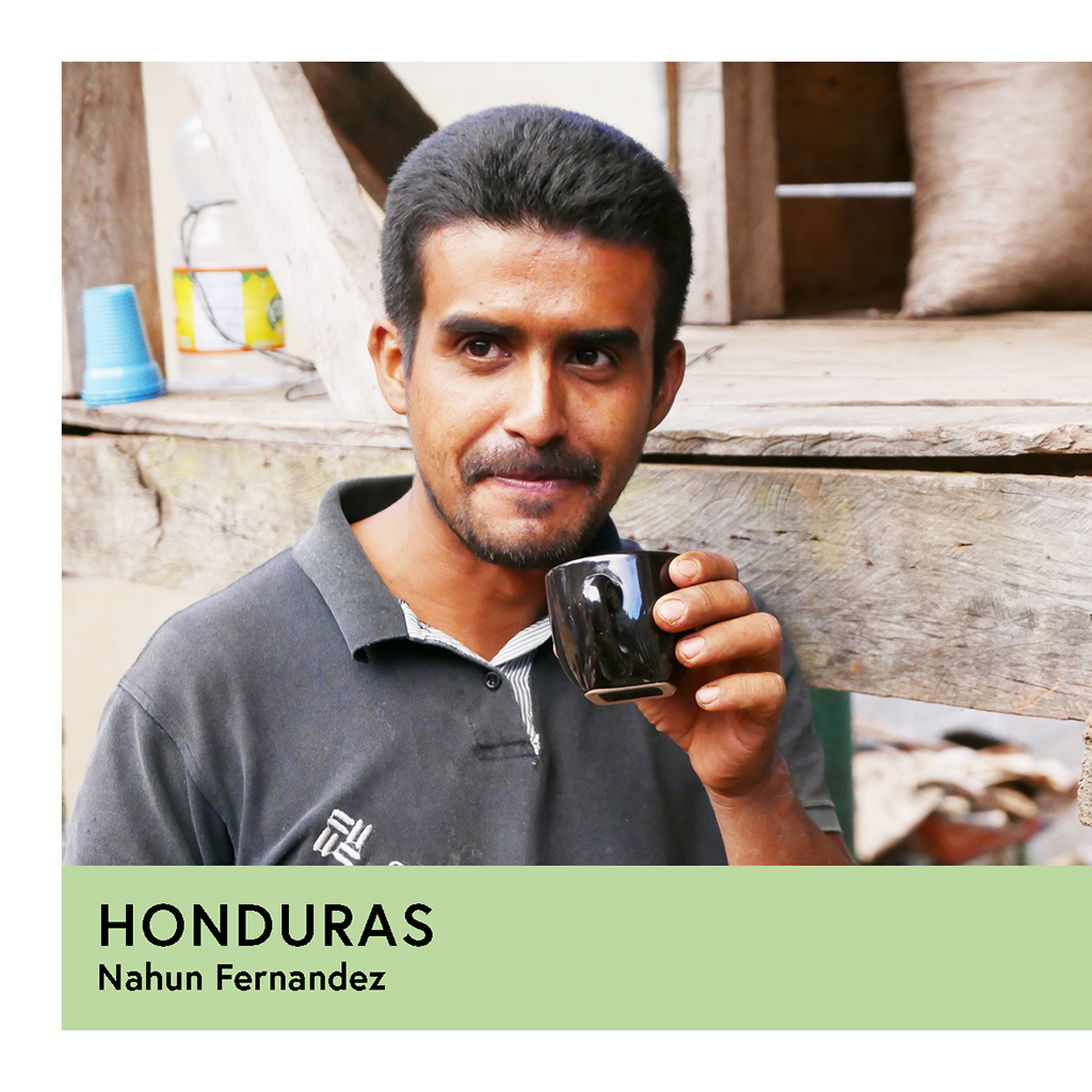 Honduras | Nahun Fernandez | Parainema | Honey | Filter | 250g - Proud Mary Coffee Melbourne