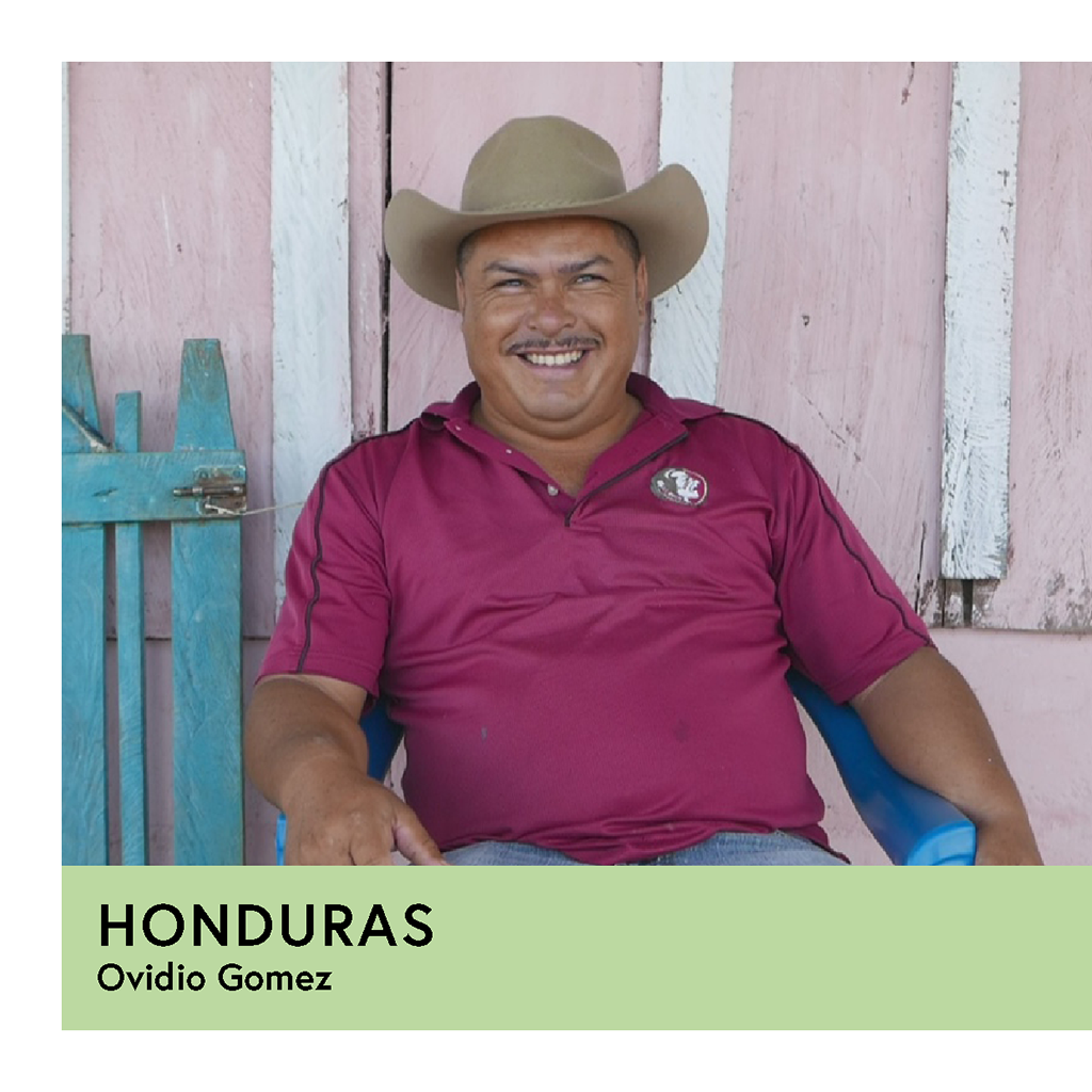 Photo of Honduras | Ovidio Gomez | Catuai | Anaerobic 48/72hr | Espresso | 250g