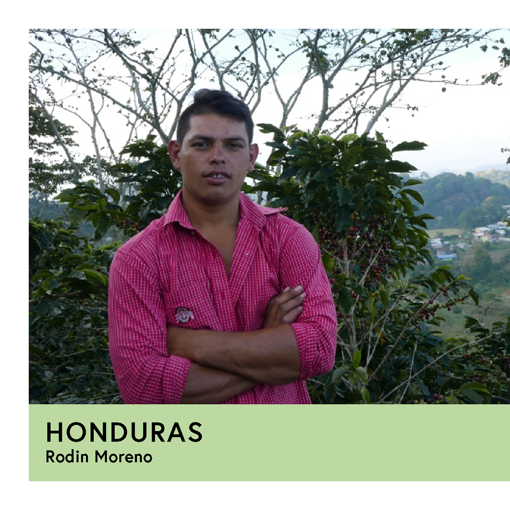 Photo of Honduras | Rodin Moreno | Pacas | Natural | Filter | 250g