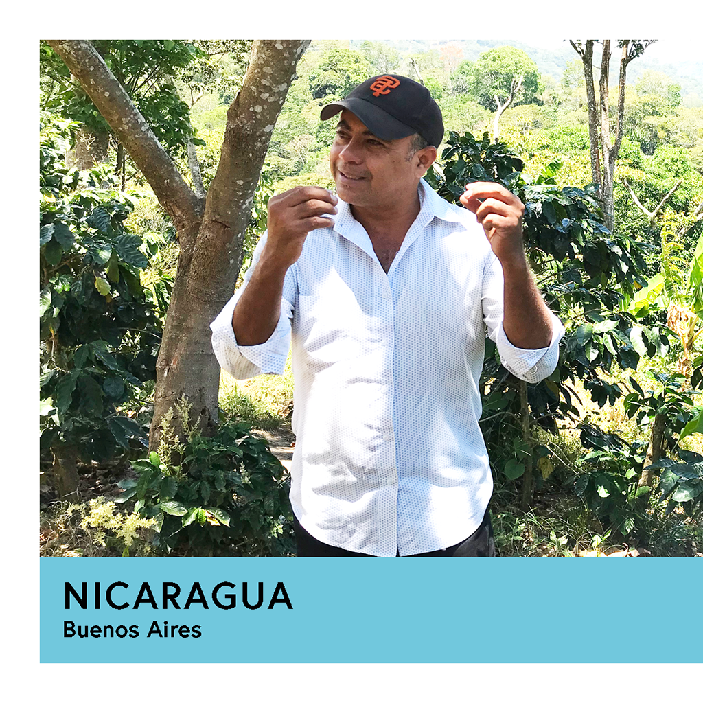 Nicaragua | Buenos Aires | Maragogipe | Anaerobic Natural 60hr | Filter | 200g - Proud Mary Coffee Melbourne