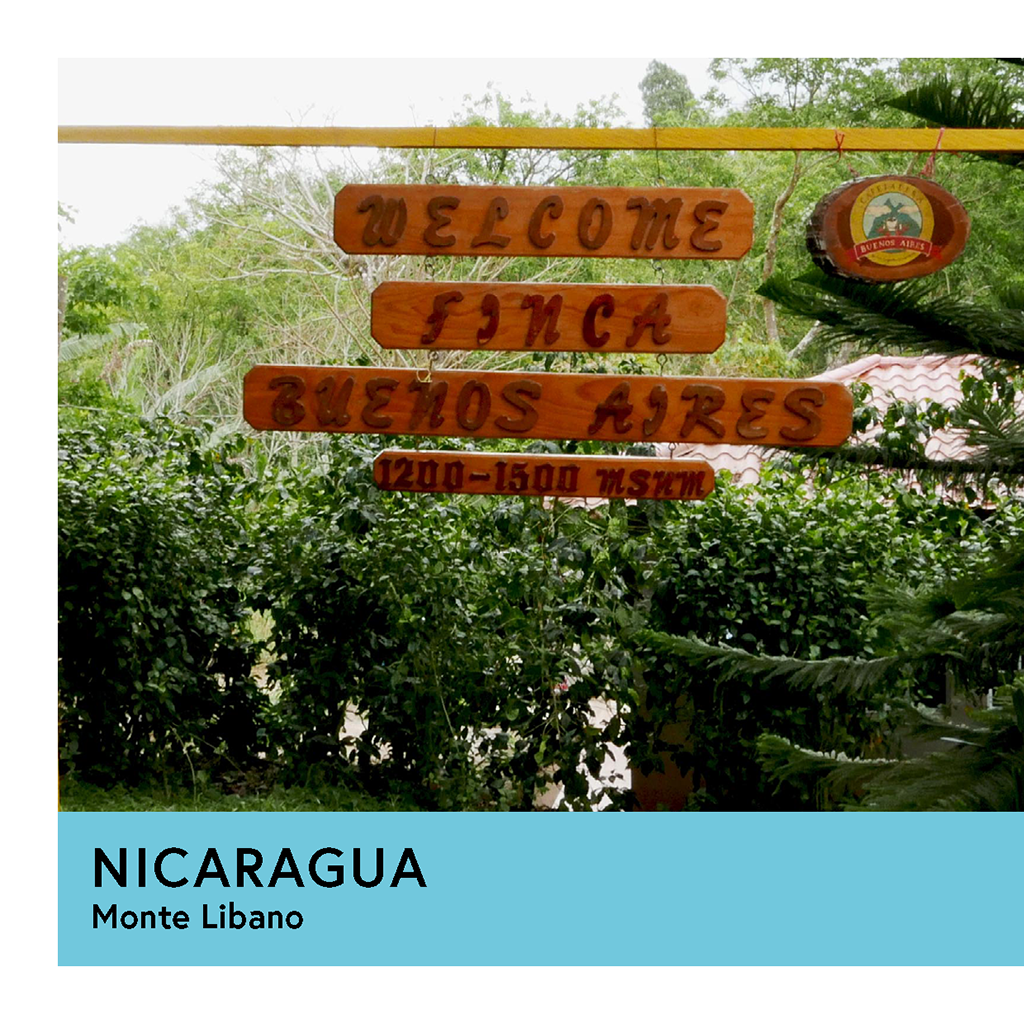 Photo of Nicaragua Monte Libano Caturra Washed Espresso 250G