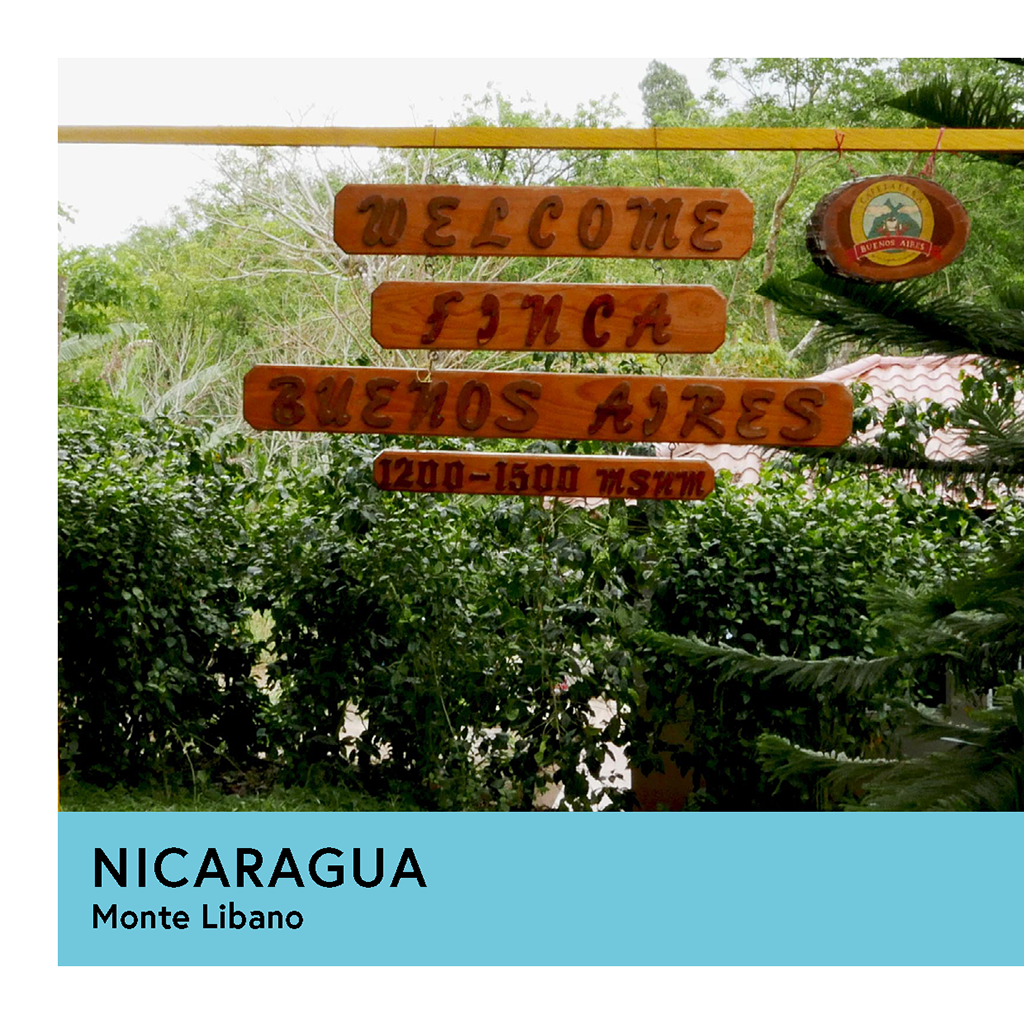 Nicaragua | Monte Libano | Caturra | Washed | Filter | 250g - Proud Mary Coffee Melbourne