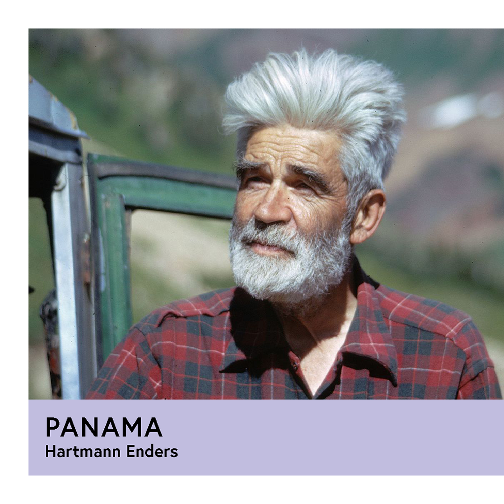 Panama | Hartmann Enders | Geisha | Anaerobic Natural | Filter | 100g - Proud Mary Coffee Melbourne